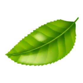 daun02-01.png